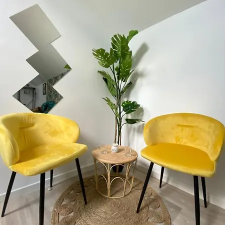 Ng Prestige L Lille L Roubaix Gare L Cassel - Netflix - Wifi Apartment Exterior photo