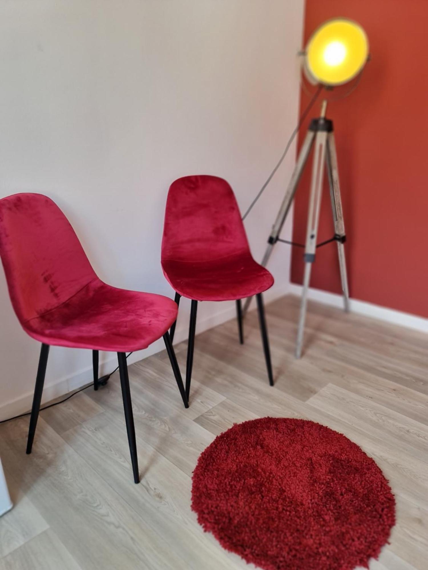 Ng Prestige L Lille L Gare L Cassel - Netflix - Wifi Roubaix